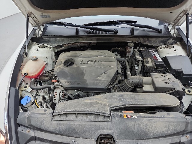 lotterental_14392438_kL05w_5.jpg