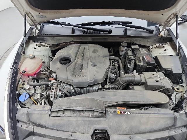 lotterental_142755857_xEC7m_6.jpg