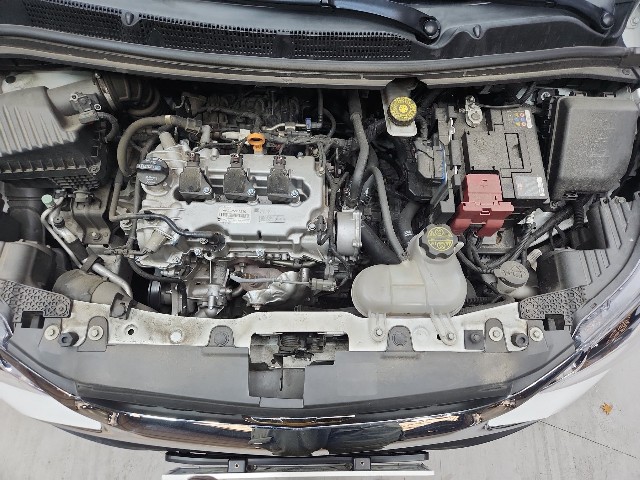 lotterental_144557130_PsQMu_7.jpg
