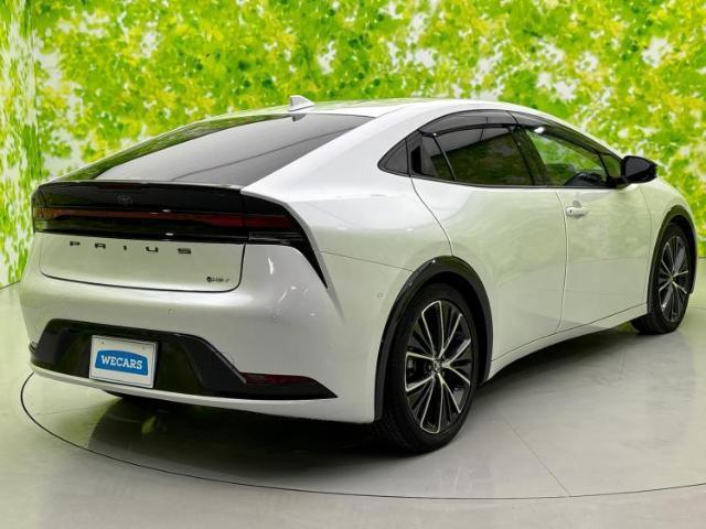 20776777_carP_l_15.jpg