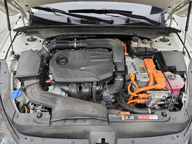 lotterental_135928458_mZ6hN_10.jpg