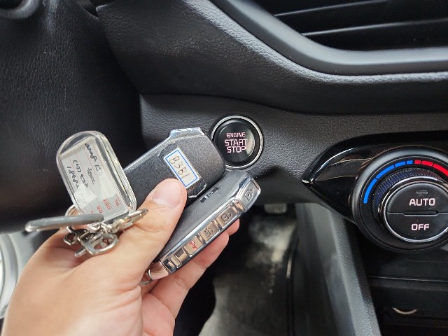 lotterental_13473905_X3Mgs_6.jpg