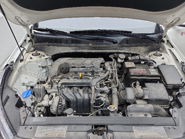 lotterental_134739180_4vTSr_9.jpg