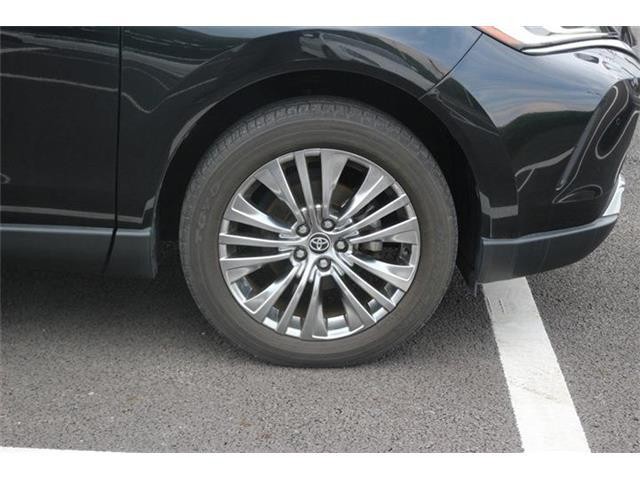 03eecdab48332fef7f0fa13eb29c304c.jpg