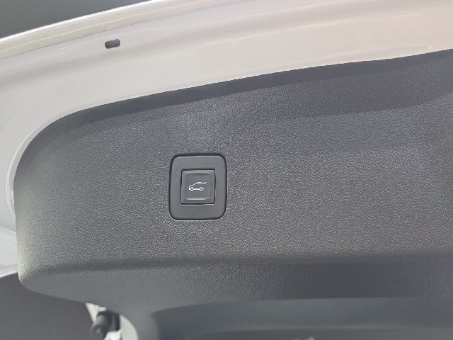 ea183307056052810b86b43cb022678e.jpeg