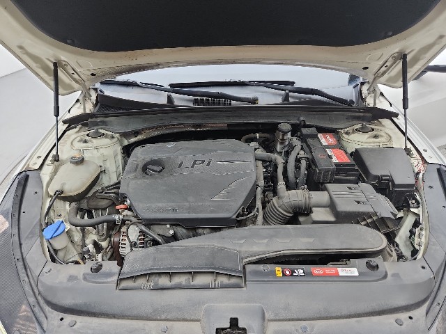 lotterental_135250438_GY5MQ_9.jpg
