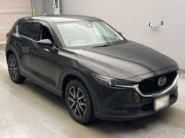27072910_carP_l_2.jpg