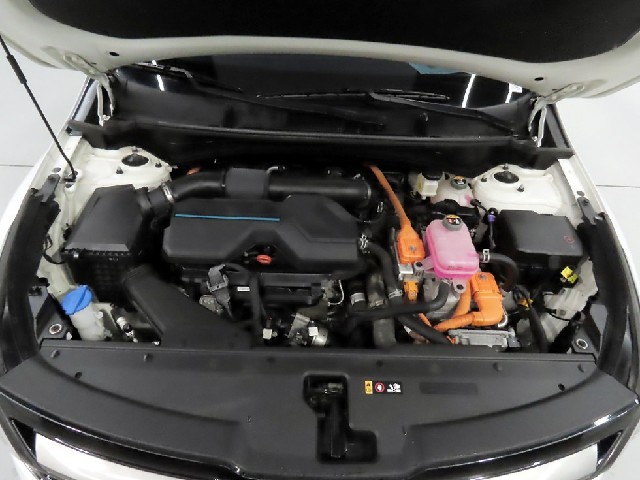 9e7d403b9fca649c357ac730b4851241.jpeg