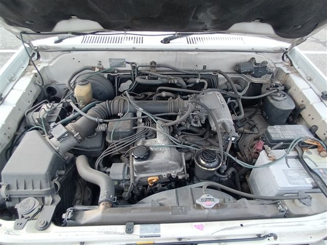 08.jpg