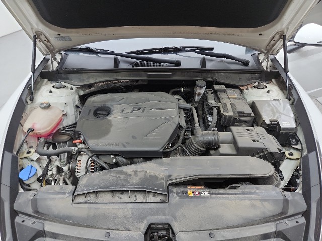 lotterental_093213124_Ck2q3_8.jpg