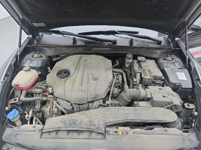 lotterental_104248468_rwtK5_8.jpg