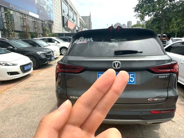 b4143057f1ac7bce232ea6daa6fdecb4.jpeg