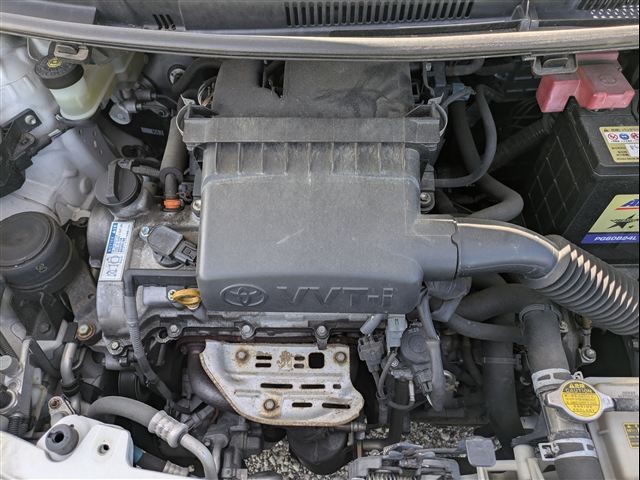 08.jpg