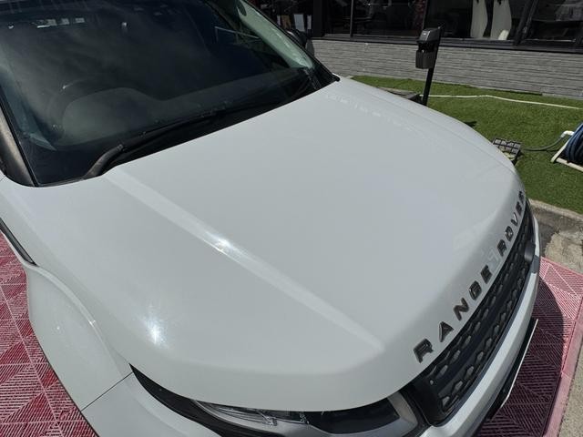 0702213A30260927W00313.jpg