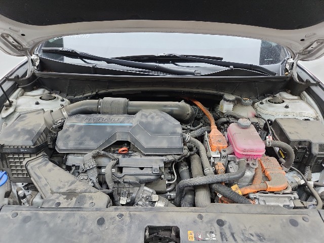 lotterental_093329546_IxVWA_7.jpg