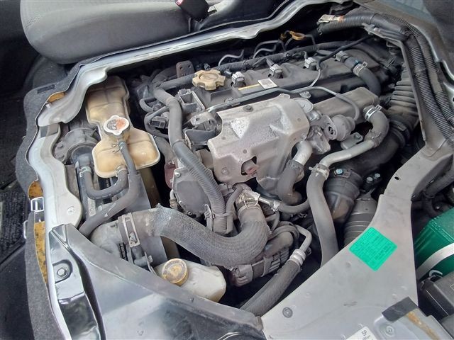 08.jpg