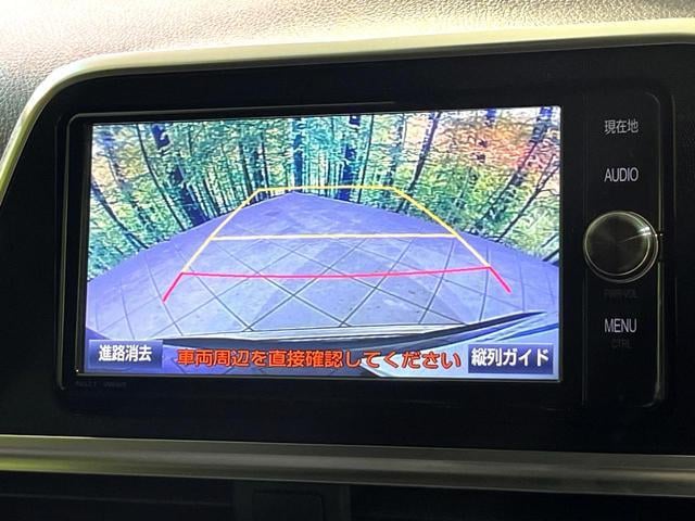 19476207_carP_l_10.jpg