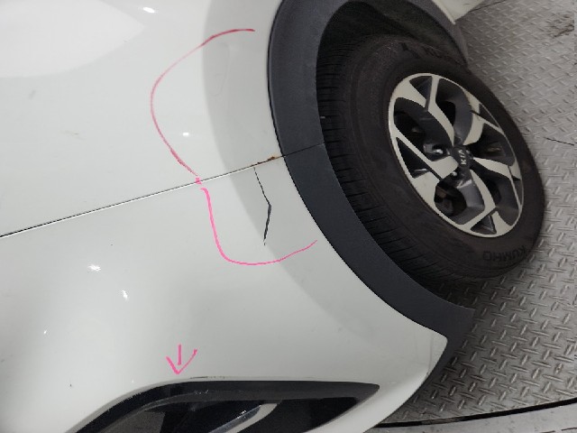 lotterental_112021517_kvpvr_8.jpg