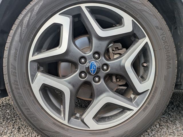 17.jpg