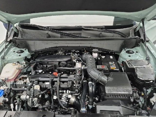 6101001900R5.jpg