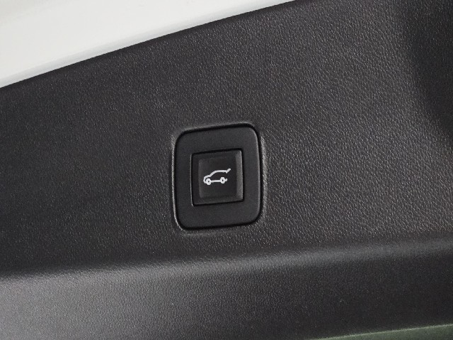 f667ba3a69651486120891a81240d2a2.jpeg