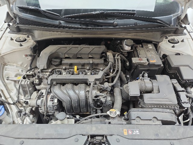 lotterental_101005918_nUNaV_7.jpg
