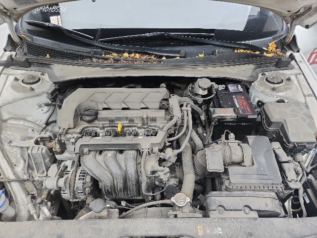 lotterental_181854613_HxOVA_8.jpg