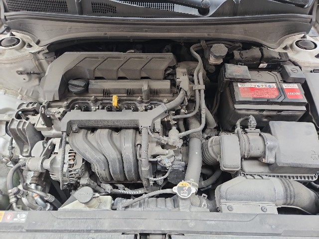 lotterental_155312289_xgGP7_9.jpg