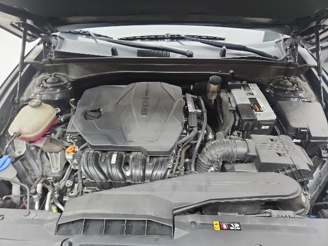 lotterental_163056246_TmCRw_8.jpg