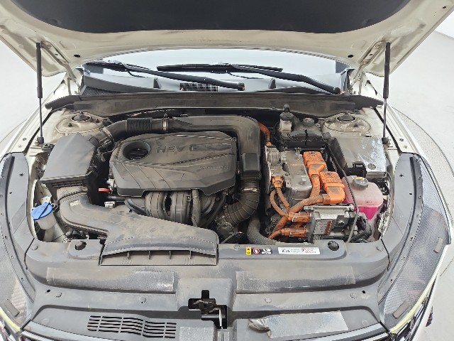 lotterental_154153139_tVv49_7.jpg