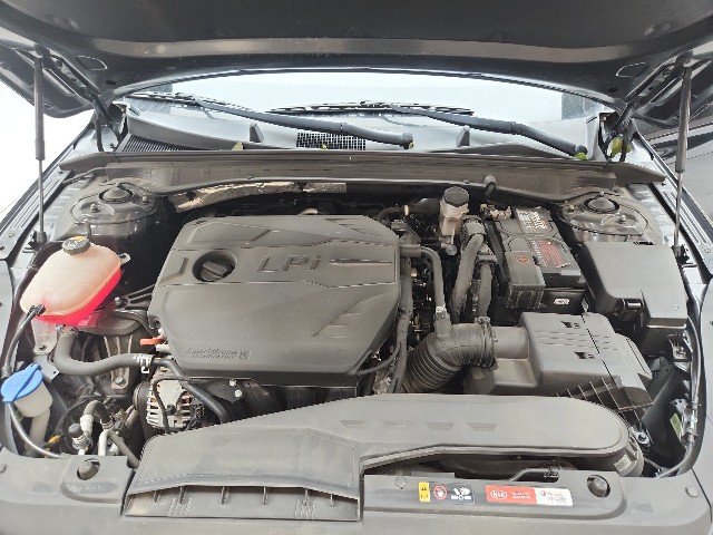 lotterental_180646898_2CfzE_9.jpg