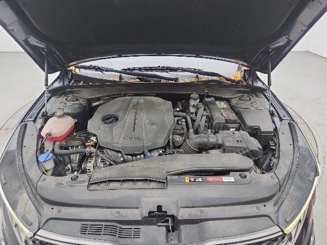 lotterental_171614255_hcWxJ_8.jpg