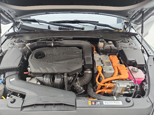 lotterental_214446180_y1gtk_7.jpg
