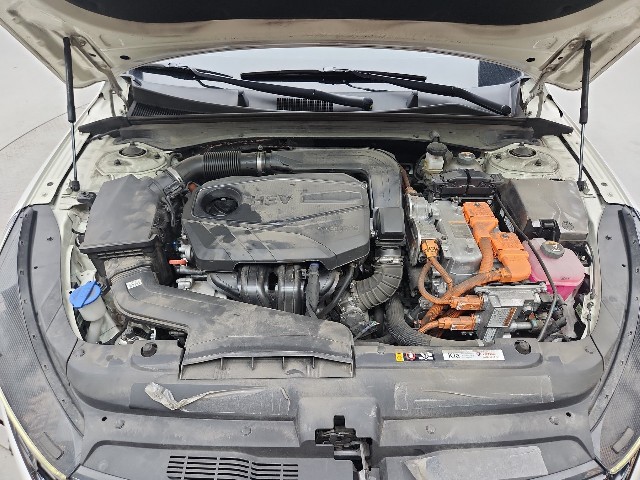 lotterental_16255929_lNasX_7.jpg
