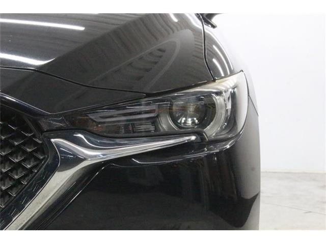 d8232106423acc279c524f8e4dc9206f.jpg