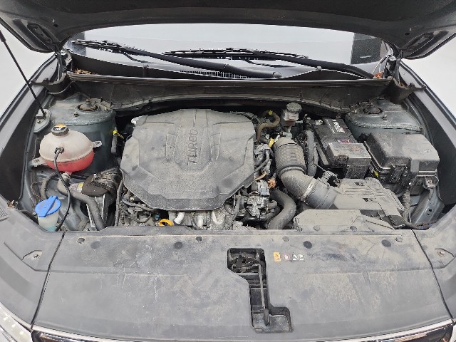 lotterental_215329675_XJayJ_7.jpg