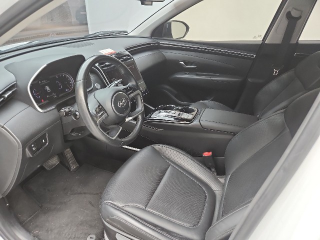 lotterental_165310874_AuAGK_8.jpg