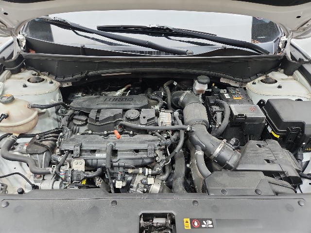 lotterental_16545311_aDSiB_7.jpg