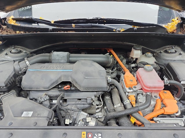 lotterental_170454527_QW7bq_5.jpg