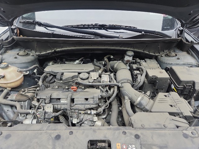 lotterental_222821611_sUL7u_8.jpg