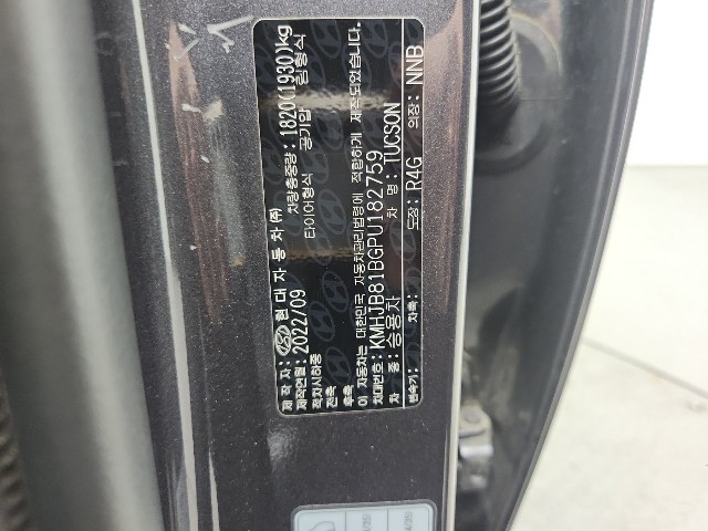 lotterental_222907931_cE34z_6.jpg