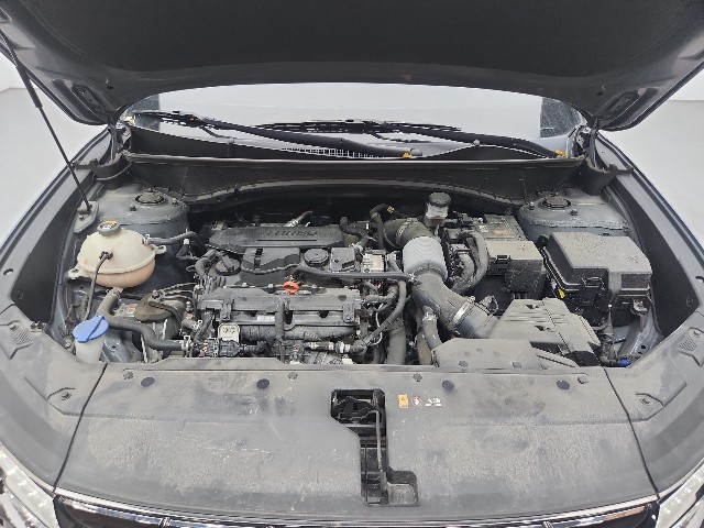 lotterental_223232283_756Wh_7.jpg