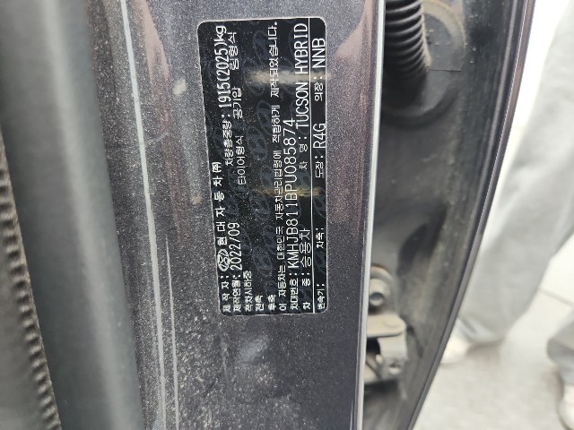 lotterental_230546548_vMIlq_6.jpg