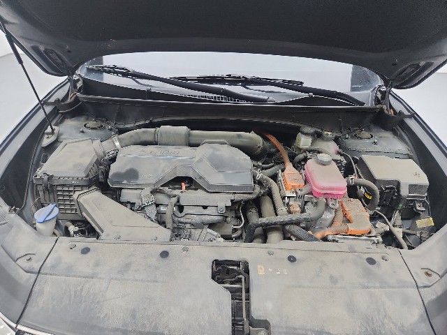 lotterental_230910803_yT0po_9.jpg