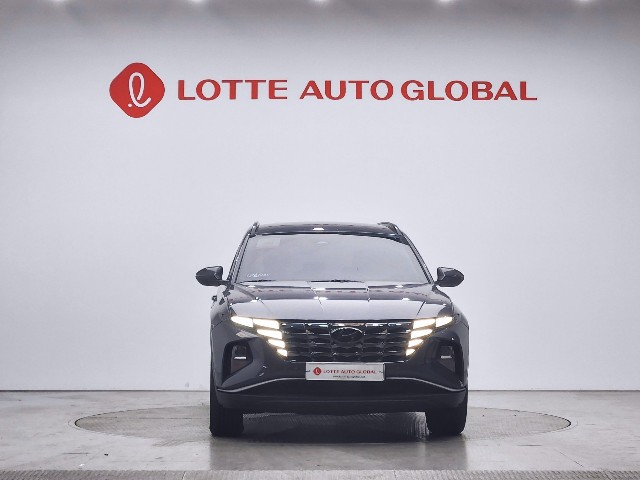 lotterental_173528149_fxWWq_1.jpg