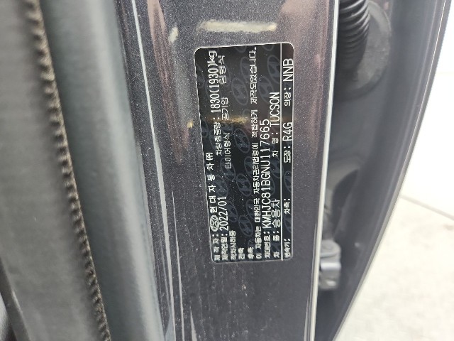 lotterental_173528368_g51pj_6.jpg