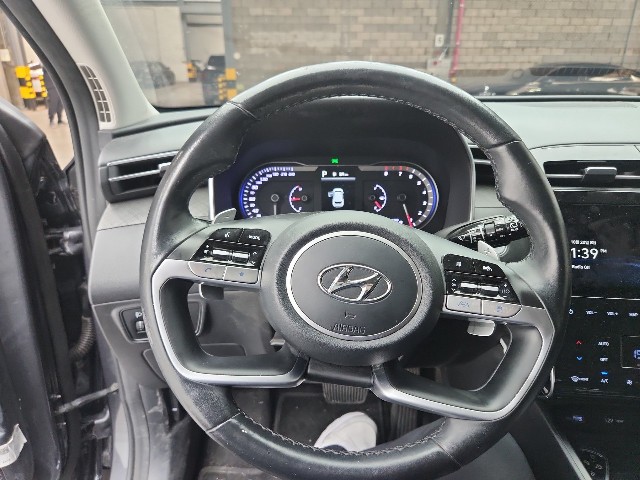 lotterental_173710832_orLRD_10.jpg