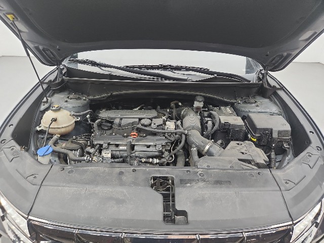 lotterental_173852614_B9R30_7.jpg