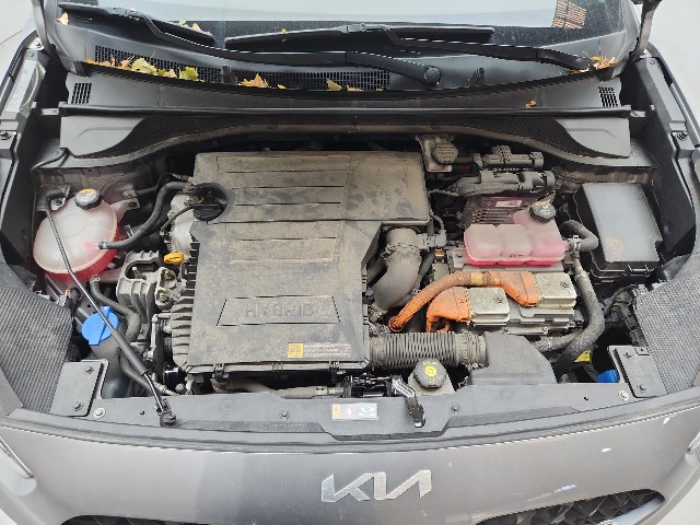 lotterental_165026862_FY8xV_7.jpg