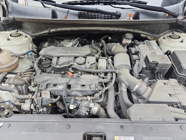 lotterental_152055659_4B9S7_8.jpg